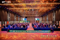 立异性地将单层氧化石墨烯初次使用到人